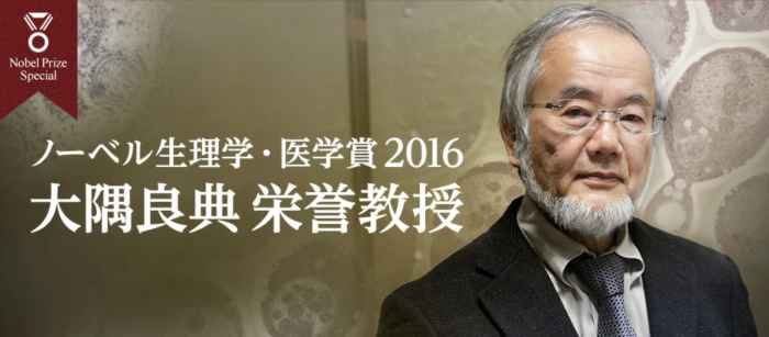 オートファジーとは何か？基本の意味