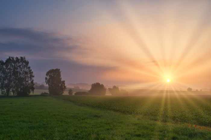 16時間断食は朝食べないのが簡単で人気！