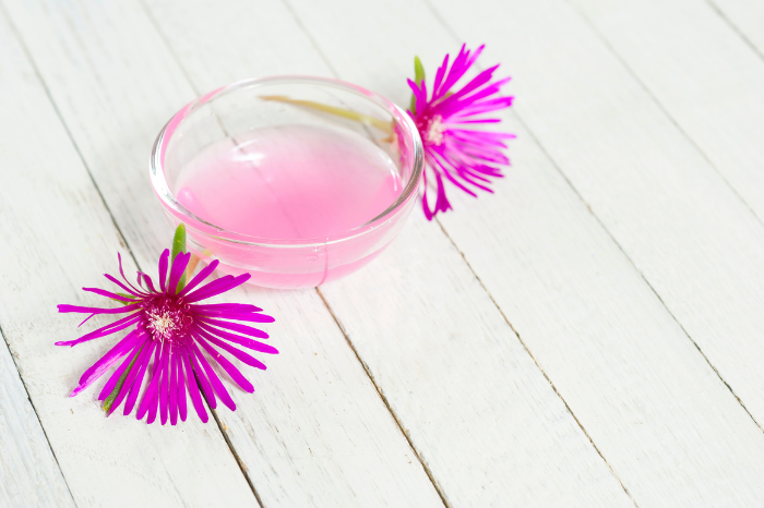 16時間断食は「若返りの土台」を整える習慣