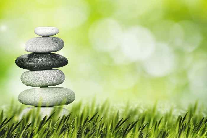 16時間断食はガマンではなく、体を整える選択肢