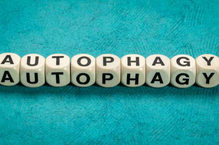 オートファジーが話題の背景